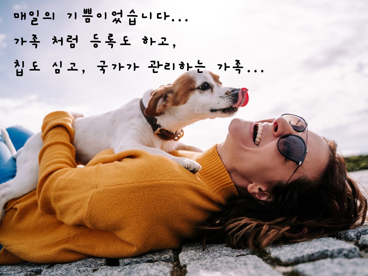 매일의 기쁨이었습니다 — 강아지와 누워 있는 보호자