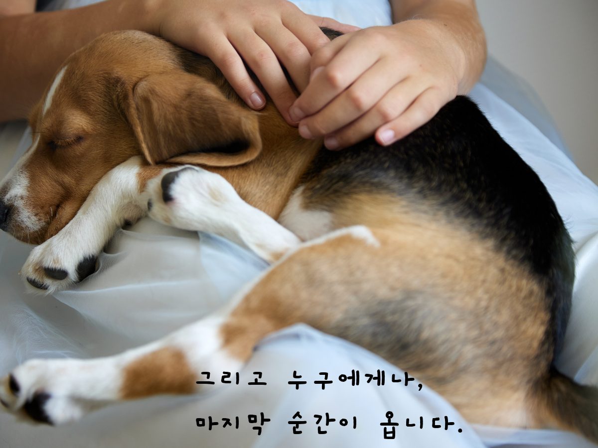 그리고 누구에게나 마지막 순간이 옵니다